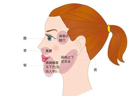 鼻翼長痘痘代表|不同部位长痘痘，代表不同内脏有问题？